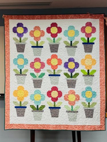 Sue Mealy